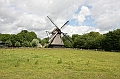 IMG_8803