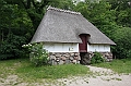 IMG_8805