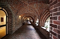 IMG_8856