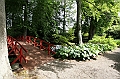 IMG_8867