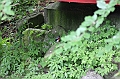 IMG_8871