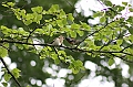 IMG_8872
