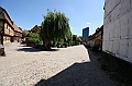 IMG_8915