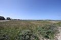 IMG_8990