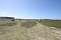 IMG_8995