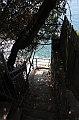 IMG_9039