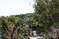 IMG_9094