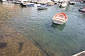 IMG_9108