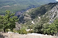 IMG_9153