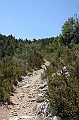 IMG_9165