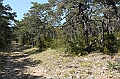 IMG_9173