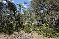 IMG_9174