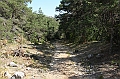 IMG_9175