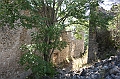 IMG_9203