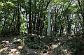 IMG_9228