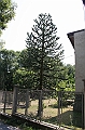 IMG_9230