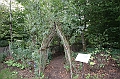 IMG_9246