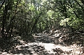 IMG_9248