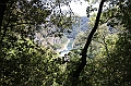 IMG_9249