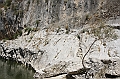 IMG_9259