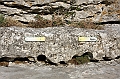 IMG_9268