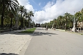 IMG_9351