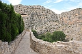 IMG_9456