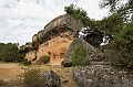 IMG_9504