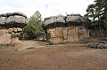 IMG_9506