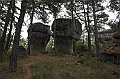IMG_9517