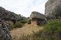 IMG_9522