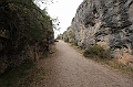 IMG_9527