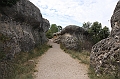 IMG_9529