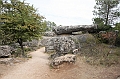 IMG_9530