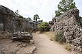 IMG_9531