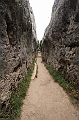 IMG_9537