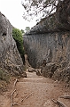 IMG_9541