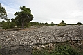 IMG_9542