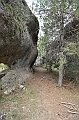 IMG_9546