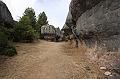 IMG_9548