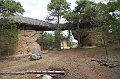 IMG_9556