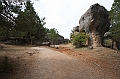 IMG_9560