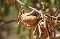 IMG_9572