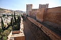 IMG_9630