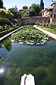 IMG_9637