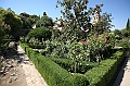 IMG_9638
