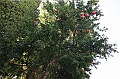 IMG_9639