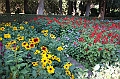 IMG_9640