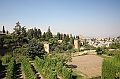 IMG_9641
