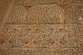 IMG_9655